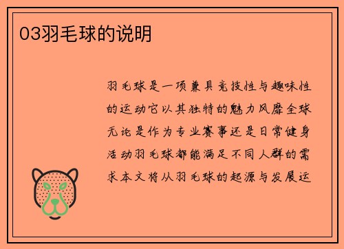 03羽毛球的说明