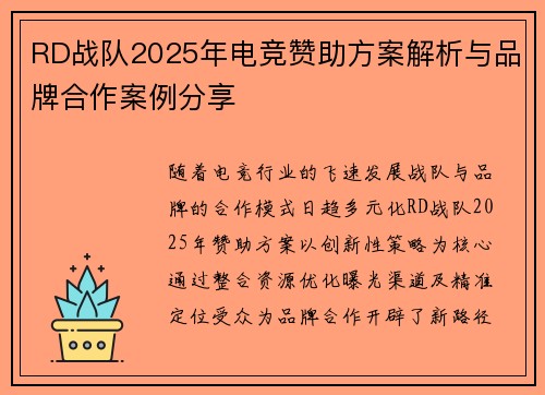 RD战队2025年电竞赞助方案解析与品牌合作案例分享