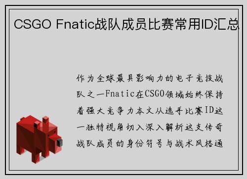 CSGO Fnatic战队成员比赛常用ID汇总